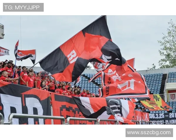 成都乒乓球队状态引发热议球迷与专家观点碰撞激烈